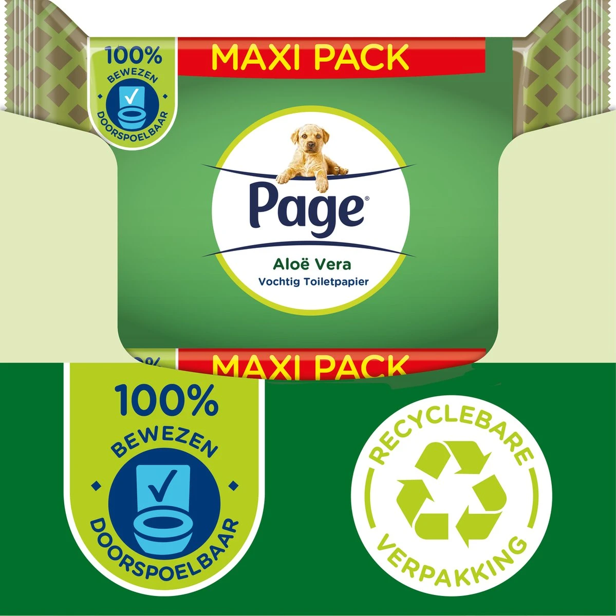 Page Vochtig Toiletpapier - 6 X 74 Stuks - Aloë Vera Maxi Vochtig Wc Papier - Voordeelverpakking 2 Page Vochtig Toiletpapier - 6 X 74 Stuks - Aloë Vera Maxi Vochtig Wc Papier - Voordeelverpakking