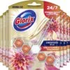 Glorix Aroma Lux Dahlia Flower & Dragonfruit - 9 Toiletblokken - Halfjaarbox - Voordeelverpakking -Huishoudelijke Schoonmaak 1200x1111 2