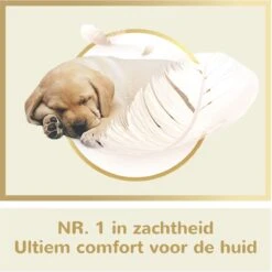 Page Puur Toiletpapier - 24 Rollen - Extra Duurzaam Wc Papier - Voordeelverpakking 13 Page Puur Toiletpapier - 24 Rollen - Extra Duurzaam Wc Papier - Voordeelverpakking -Huishoudelijke Schoonmaak 1200x1200 1196