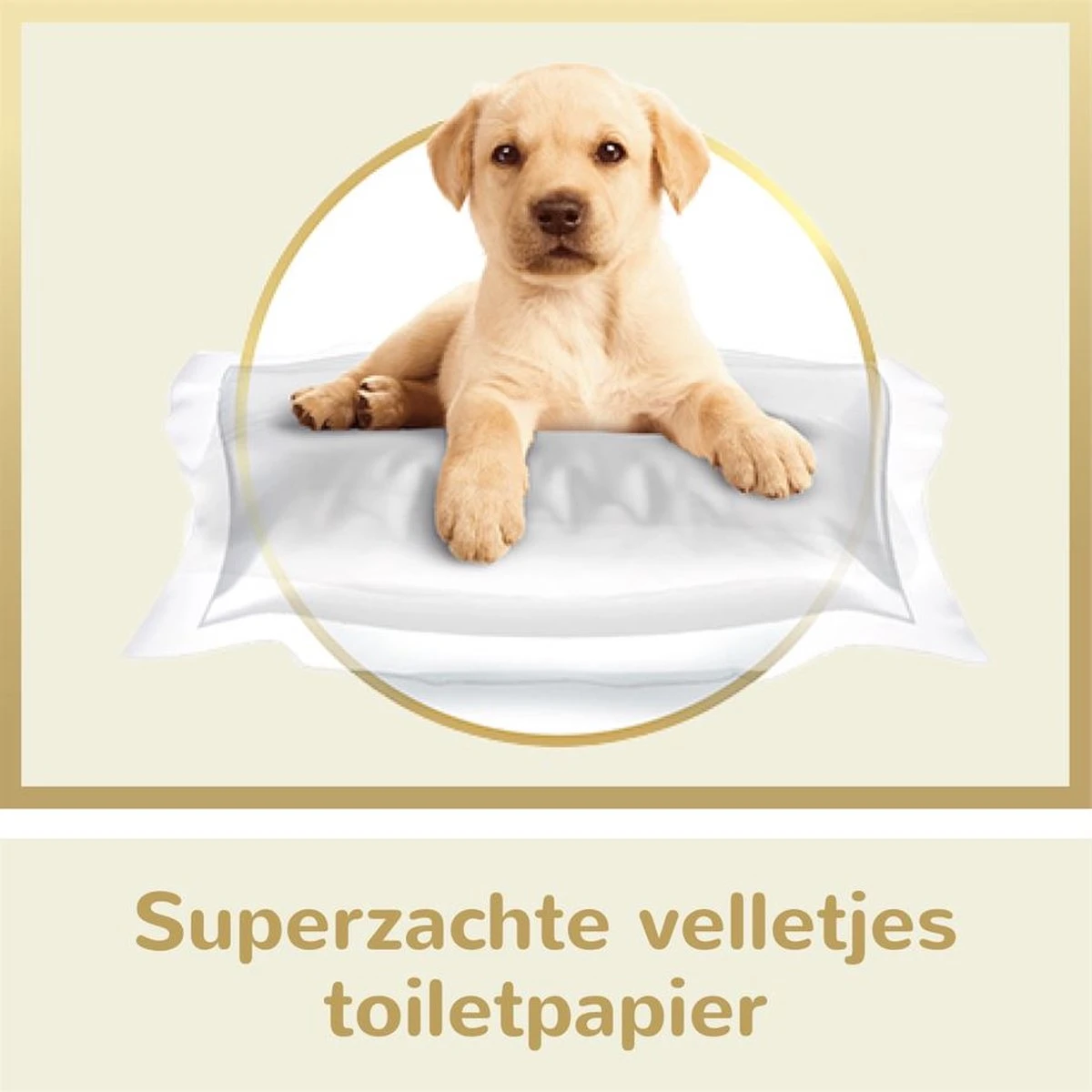 Page Puur Toiletpapier - 24 Rollen - Extra Duurzaam Wc Papier - Voordeelverpakking 7 Page Puur Toiletpapier - 24 Rollen - Extra Duurzaam Wc Papier - Voordeelverpakking - Afbeelding 5
