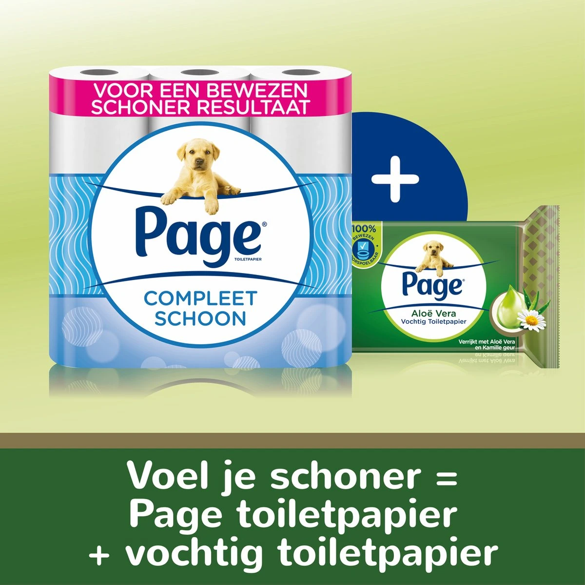 Page Vochtig Toiletpapier - 6 X 74 Stuks - Aloë Vera Maxi Vochtig Wc Papier - Voordeelverpakking 9 Page Vochtig Toiletpapier - 6 X 74 Stuks - Aloë Vera Maxi Vochtig Wc Papier - Voordeelverpakking - Afbeelding 8