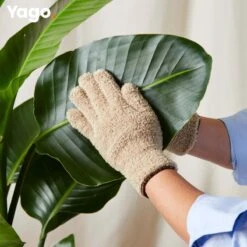 Yago Microvezel Handschoenen Om Stof Te Verwijderen | Extra Absorberend | Stofvrij | Planten | Auto | Eenvoudig Schoonmaken | Lampen | Stofmagneet | One Size Fits All | Duurzaam | Geen Krassen -Huishoudelijke Schoonmaak 1200x1200 3416