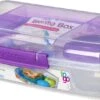 Sistema Bento Box 1.76L Met Boterhamlade - Doorzichtig/Paars