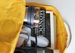 Mepal – Isoleer Lunchpot Ellipse – Houdt Je Eten 6-8 Uur Warm En 12 Uur Koud – Rose Gold – 2 Compartimenten – Soep Beker To Go – Yoghurt Beker Muesli - Thermos Lunchbox -Huishoudelijke Schoonmaak 1200x853 5