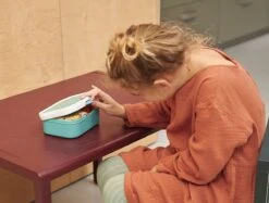 Mepal – Lunchbox Campus – Broodtrommel Voor Kinderen – Spring Flowers – Little Dutch - Bento Box - Geschikt Voor 4 Boterhammen -Huishoudelijke Schoonmaak 1200x909 14